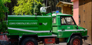 Concorso Provincia di Trento: 30 posti nel Corpo Forestale con assunzione stabile